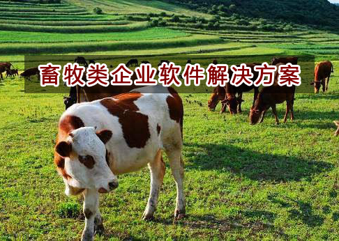 畜牧行業應該如何選擇財務軟件？