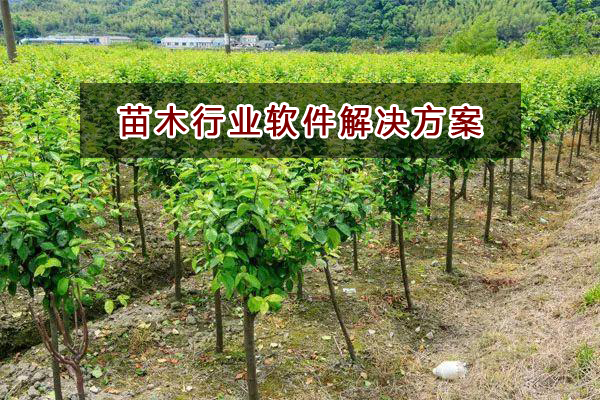 苗木行業應該如何選擇財務軟件？財務做賬記賬如何實現？