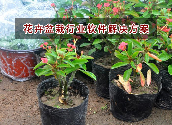 花卉盆栽行業應該如何選擇財務軟件？財務做賬記賬如何實現？