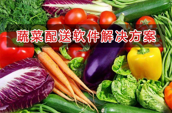 蔬菜配送管理軟件解決方案,蔬菜配送進銷存財務管理軟件