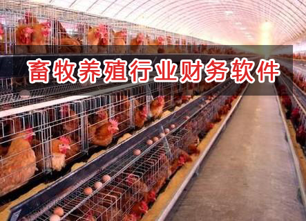 畜牧養(yǎng)殖行業(yè)應(yīng)選擇什么財(cái)務(wù)管理軟件管理財(cái)務(wù)？