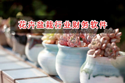 花卉盆栽店應選擇什么財務管理軟件管理財務？